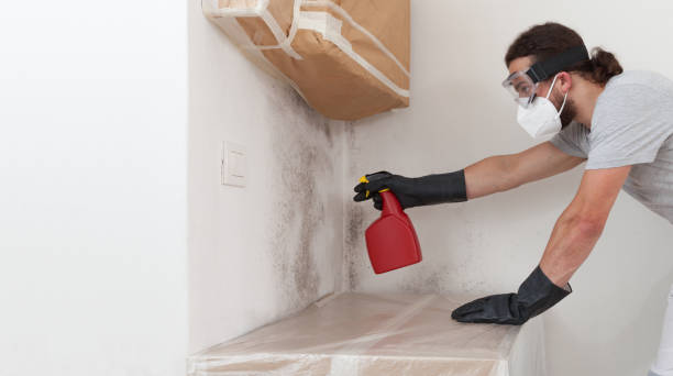 Professional Mold Remediation technician working in Port Jefferson Station, NY